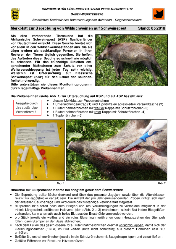 pdf-preview